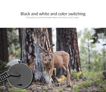 Load image into Gallery viewer, Clear Vision Scope™ - 850nm Infrared LED IR Night Vision Riflescope Hunting Scopes Optics Sight Waterproof Hunting Camera Hunting Wildlife Night Vision